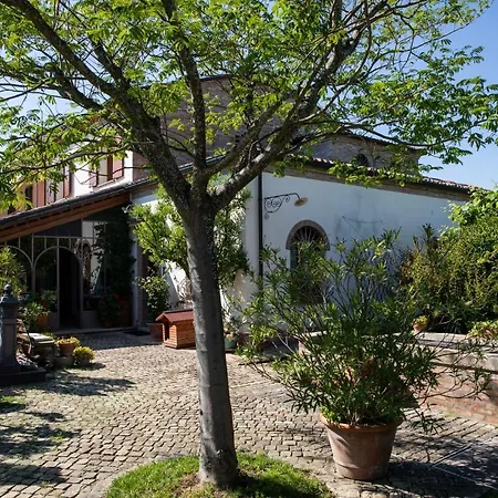 Cascina Vecchia Alpacas