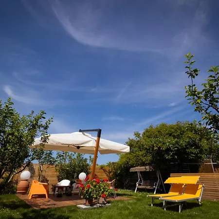 Cascina Vecchia Alpacas Bed & Breakfast