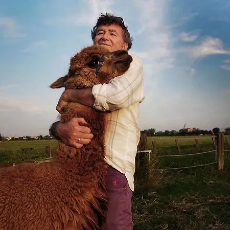 Cascina Vecchia Alpacas Bed & Breakfast