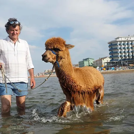 Cascina Vecchia Alpacas * San Mauro Mare