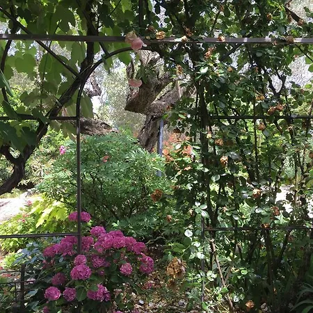 Bed & Breakfast Cascina Vecchia Alpacas *