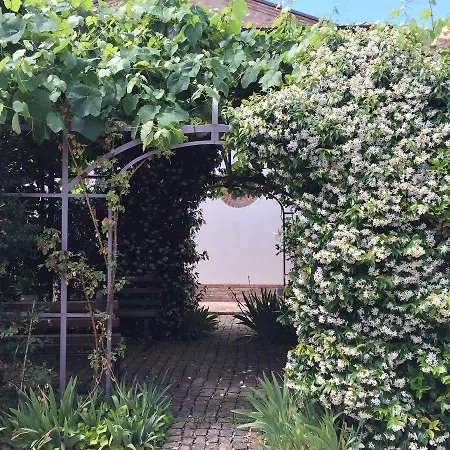 Cascina Vecchia Alpacas Bed & Breakfast